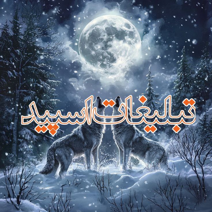 🌙 𝑴𝒐𝒐𝒏 & 𝒀𝒐𝒖 🌙