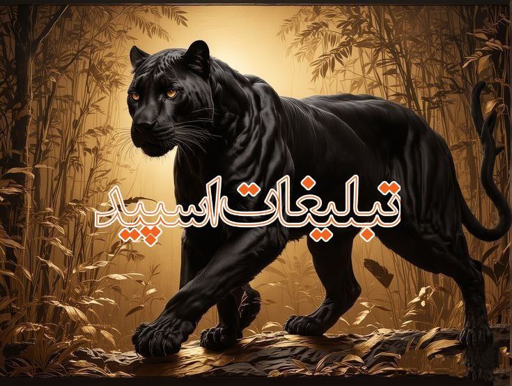 میتینگ طهران کرج (1)