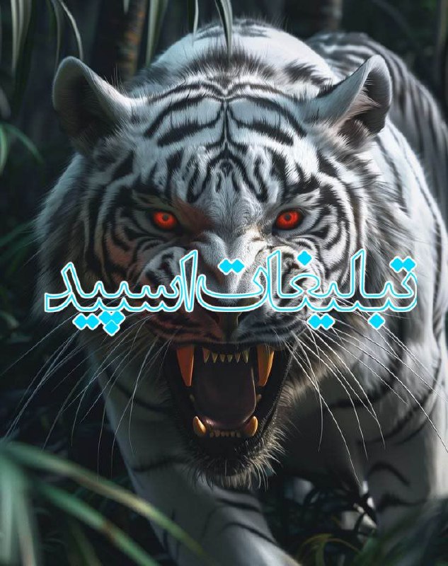 تبلیغات