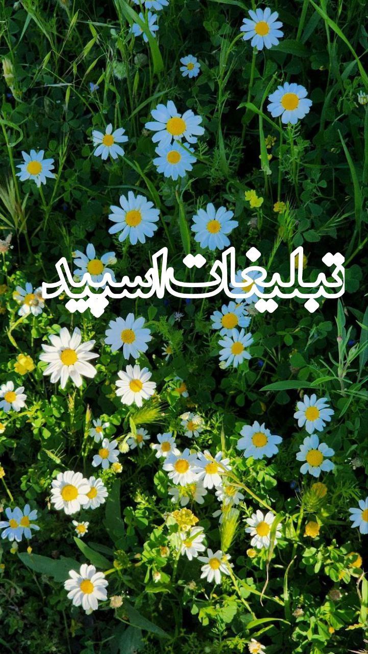 ربات بازی و چالش🎮🔥