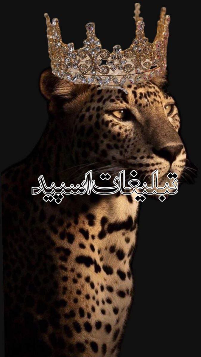 تبلیغات