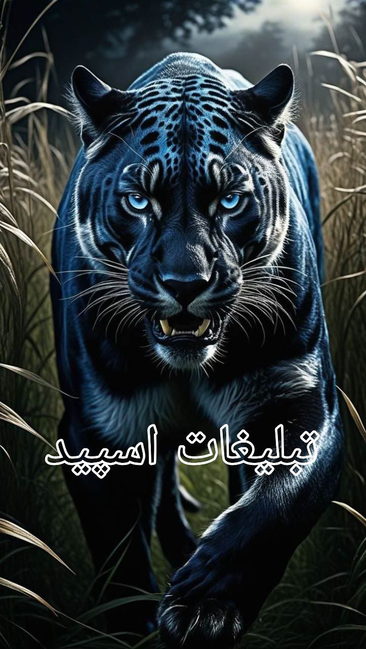 : 👑♛ܩیࡅ߳یܝ̇ߺܭَ♥️ ܭܝ‌ܩߊ‌ܝ̇ߺܢܚ݅ߊ‌ܘ ♥️