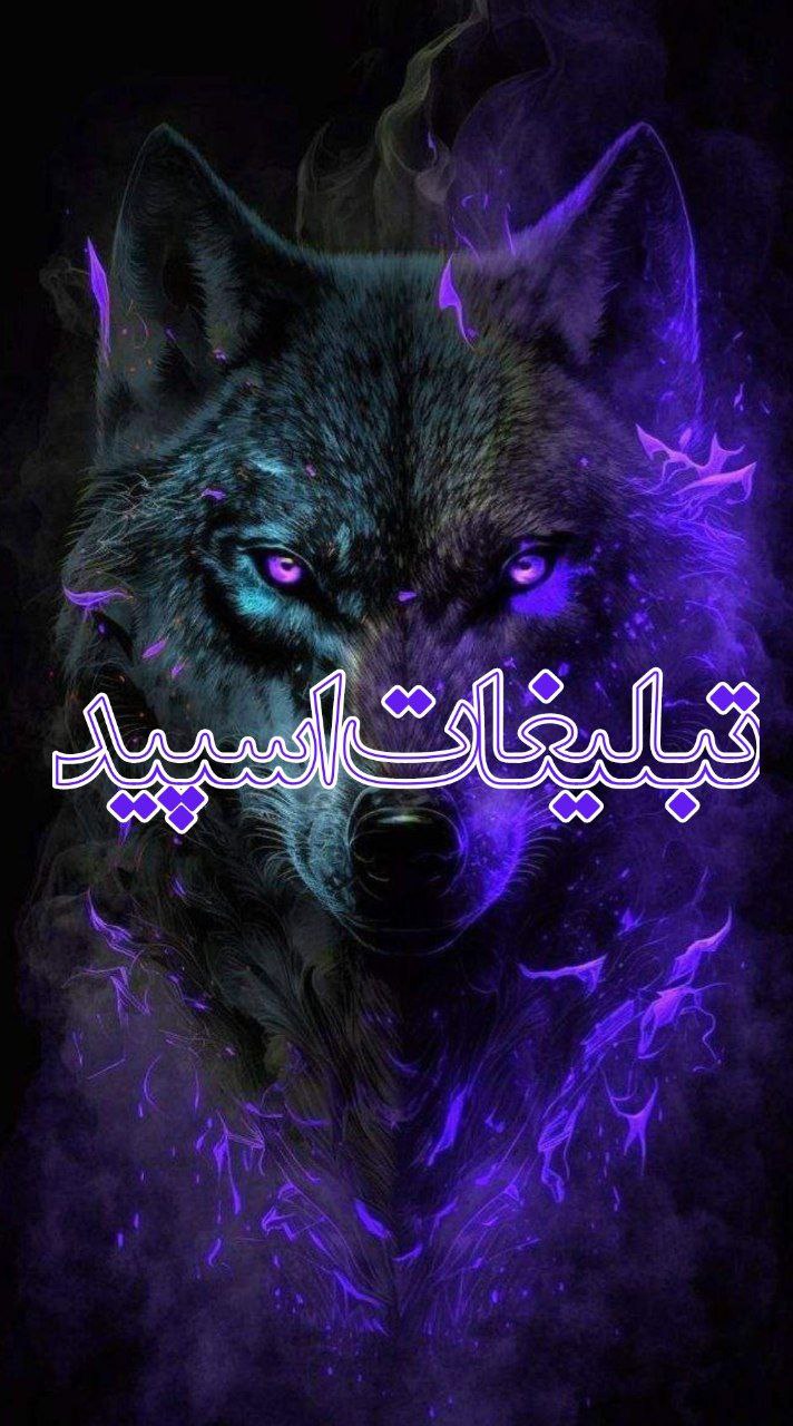 ولف ایرانی (11)