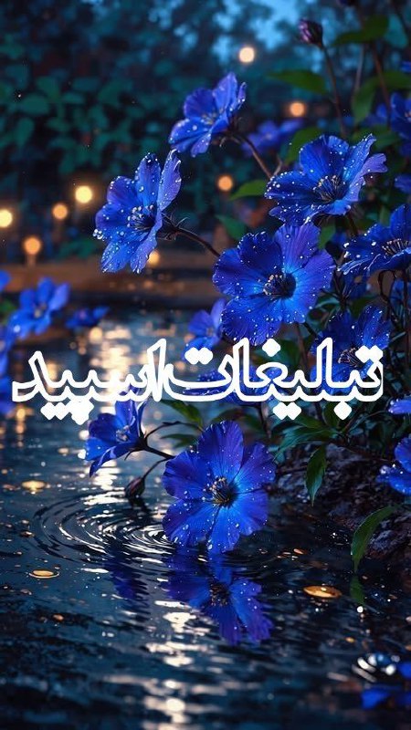 ༺ آلاچیــــق ایرانیانــــ ™♪ ༻