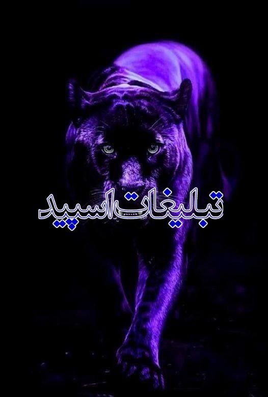 کانال واتساپ متن زیبا