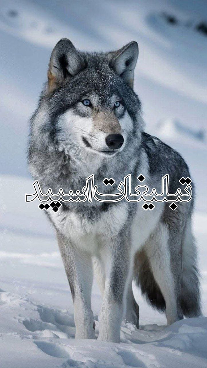 دورهمی😎😎