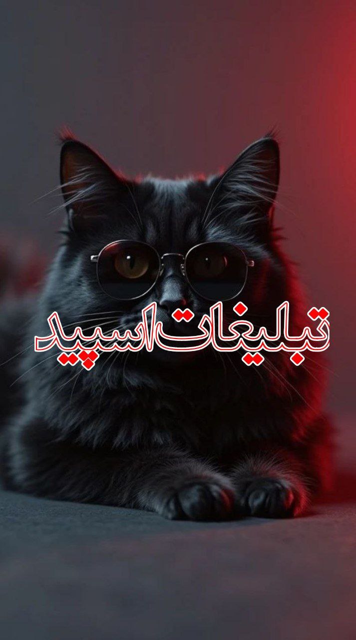 💞sحـٰٖـۘۘــٍٰرٰٖیـٰٖـۘۘــٍٰمۘۘ عـٰٖـۘۘــٍٰشـٰٖـۘۘــٍٰقۘۘs💕