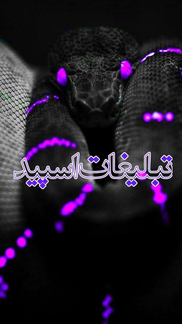 💕 ڪَِــلَِبَِهَِ عुؔـشـٖٖقـٍٍ℘‌ـٜٜ 💕 (3)