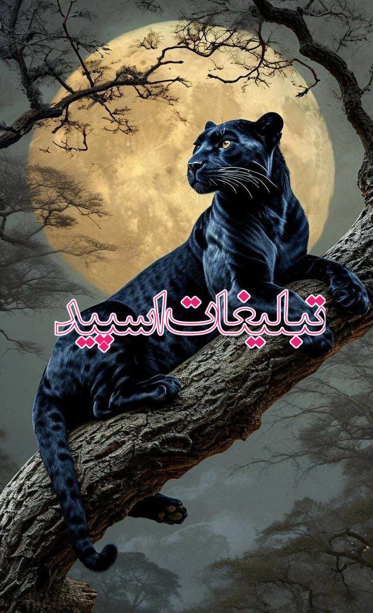 تبلیغات