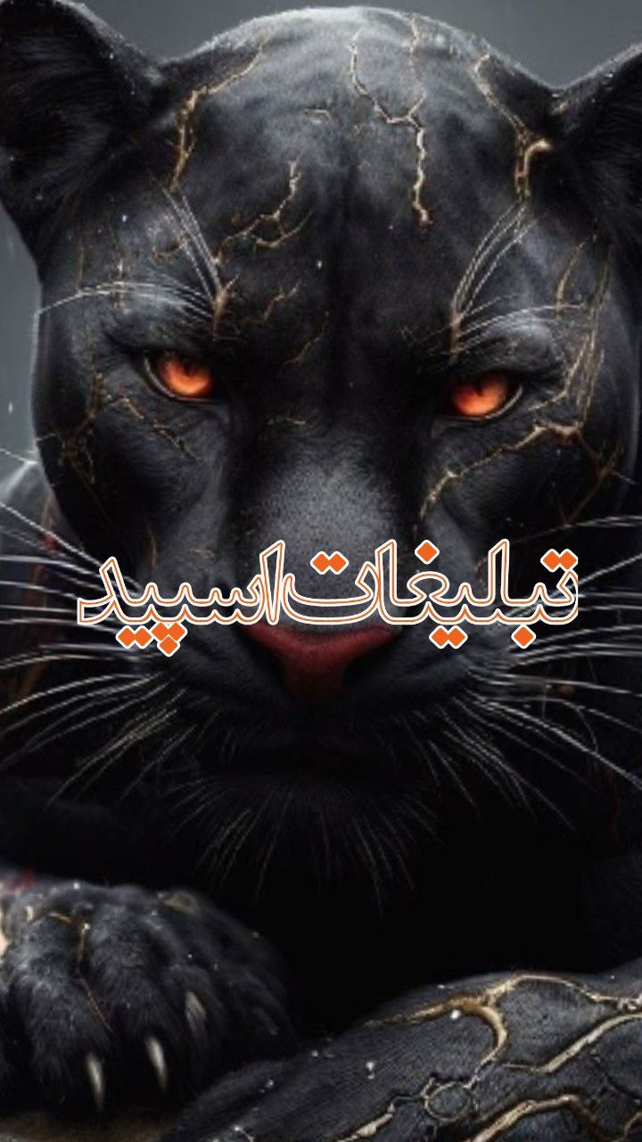 تبلیغات