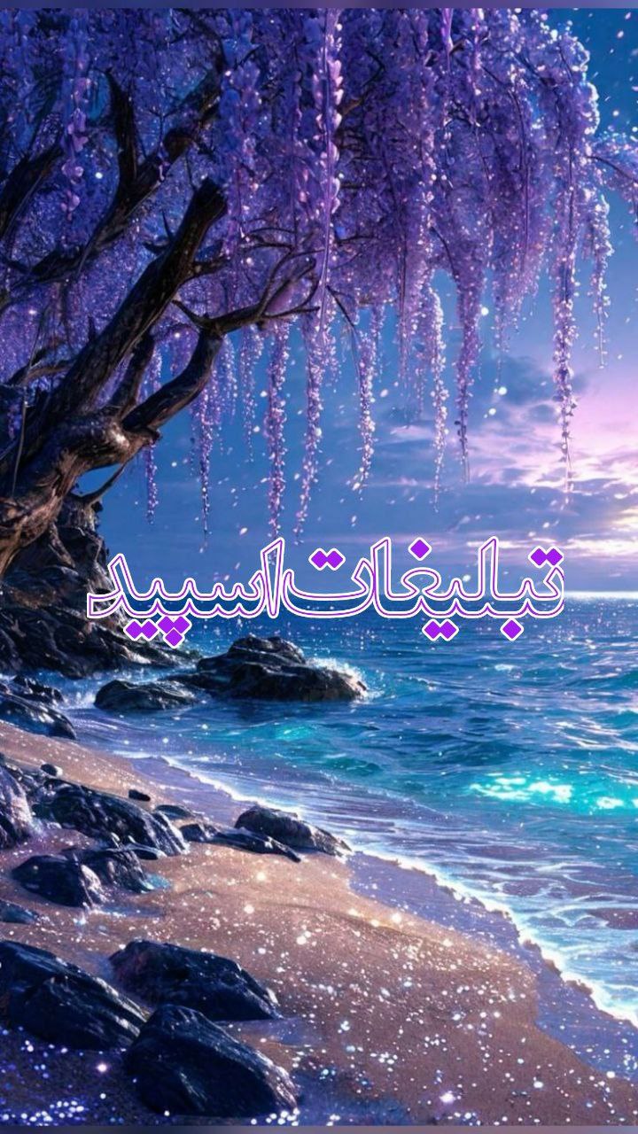 وایلد ولف (330)