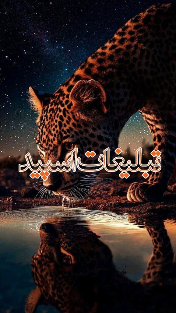 🦋 دوستان با معرفت همدل 🦋⁩ (3)