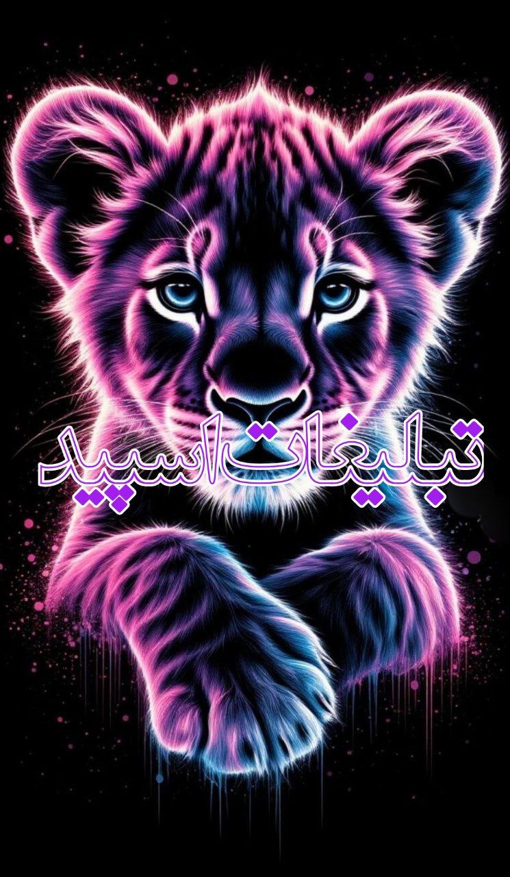 چت گیلان شمال بلامیسرا