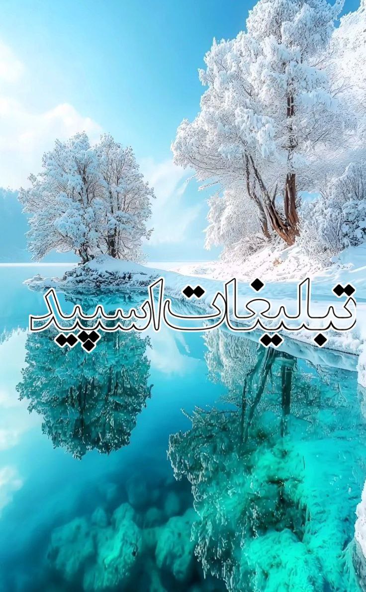 وایلد ولف (324)