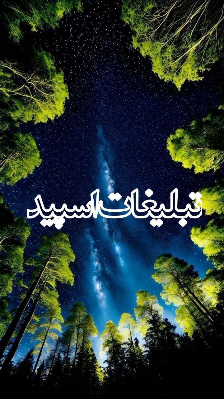 شبهای ایران✨