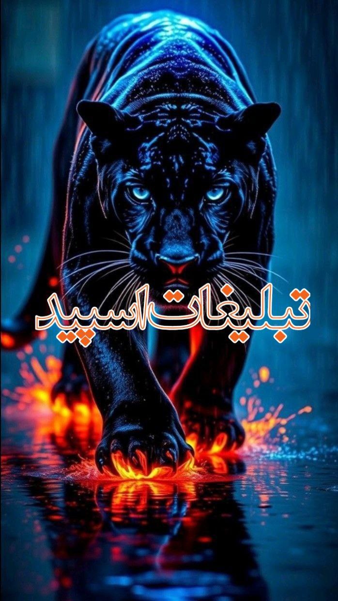 تبلیغات