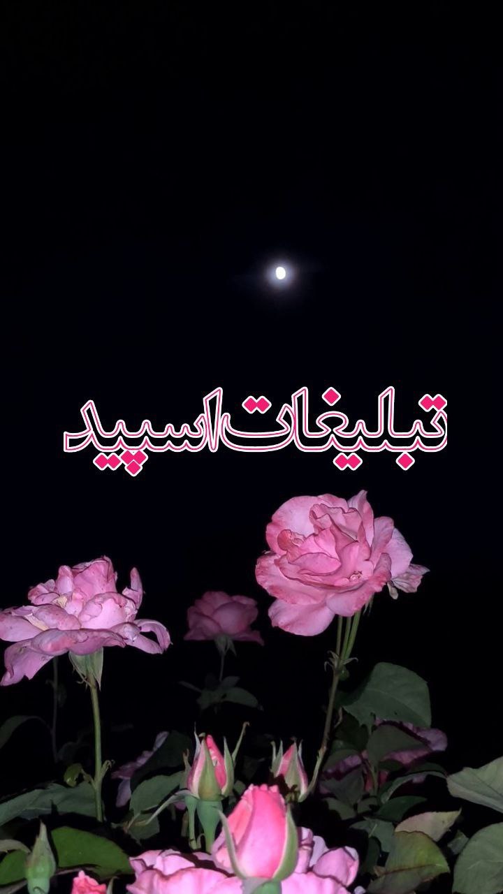 𝓐𝓛𝓞𝓒𝓗𝓔 (3)