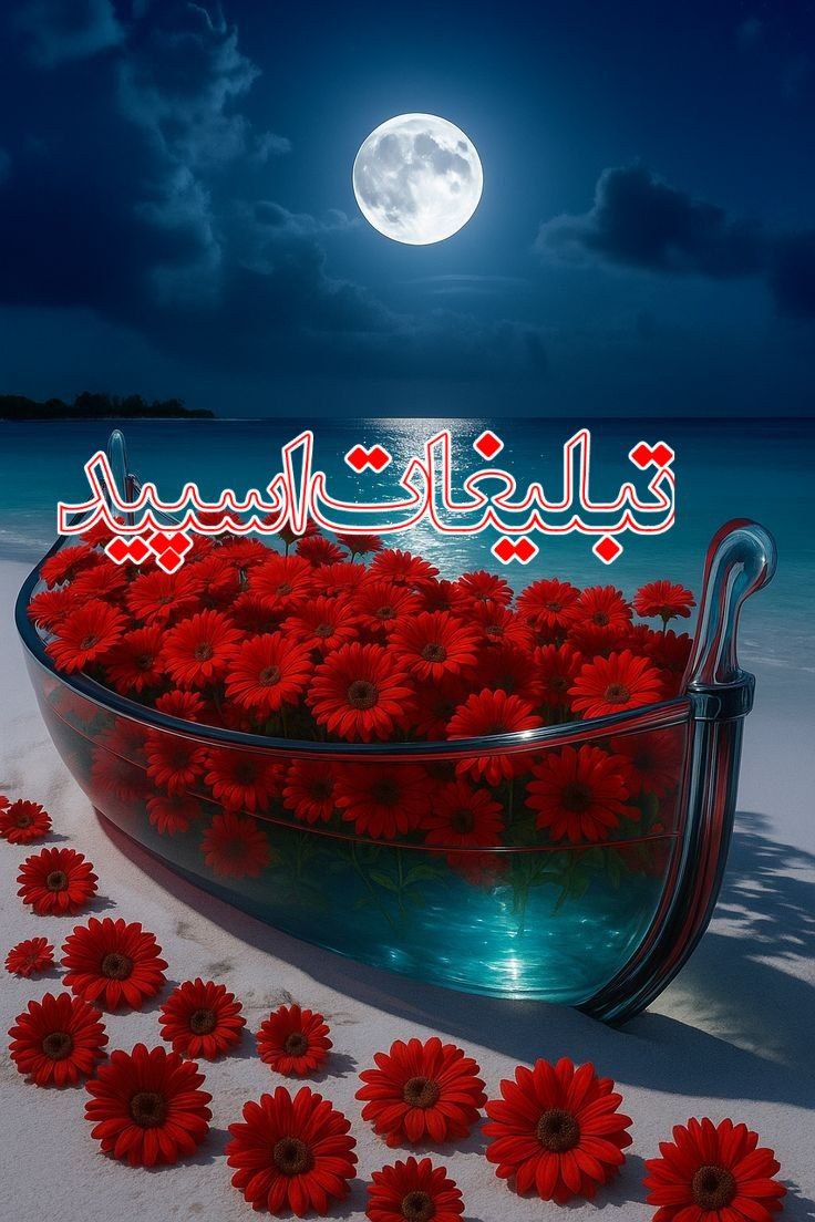 کافه شب‌های عاشقی (13)