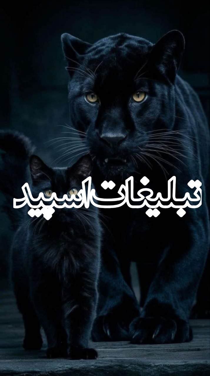 𝗠𝗶𝗱𝗻𝗶𝗴𝗵𝘁 𝗧𝗮𝗹𝗸𝘀 🌌 (2)