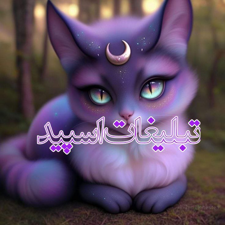 تبلیغات