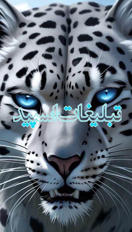 🌙✨شب نشینی با پلنگ🐆