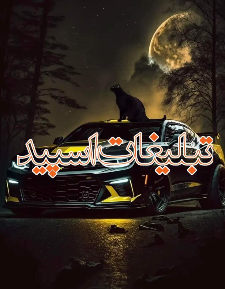 بهترین ها