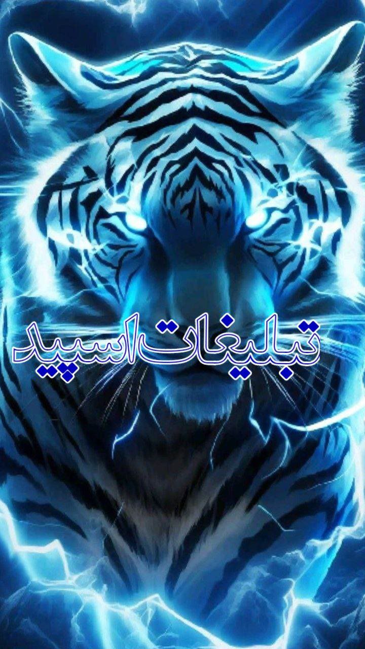 دوستان بامرام (7)