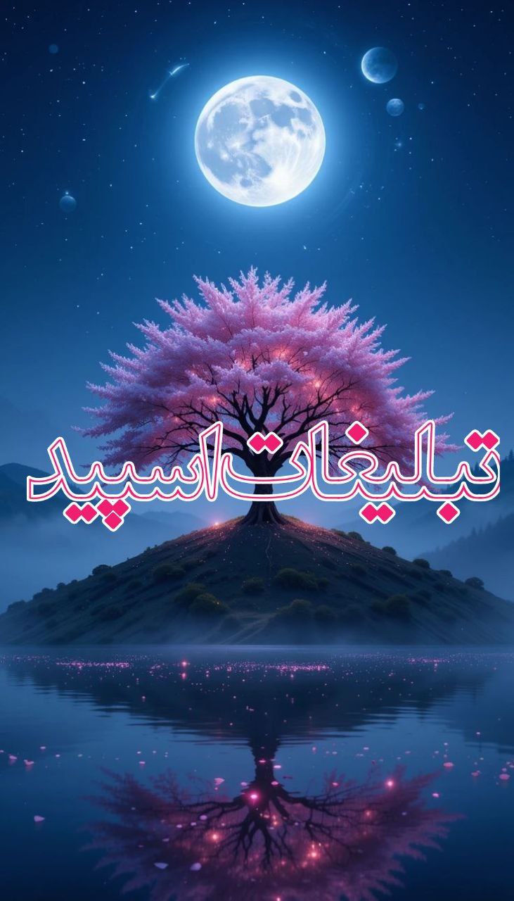 وایلد ولف (78)