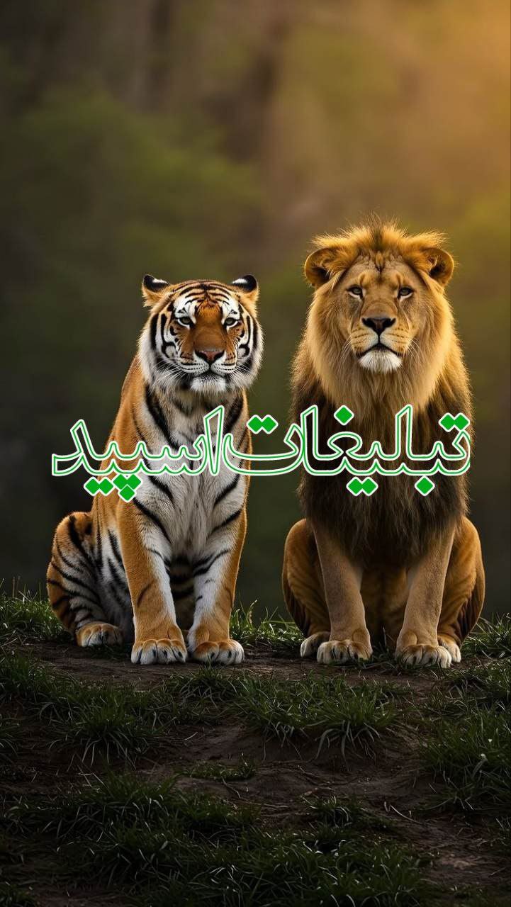 𝓛𝓘𝓥𝓔ــــ𝓝𝓐𝓑 (1)