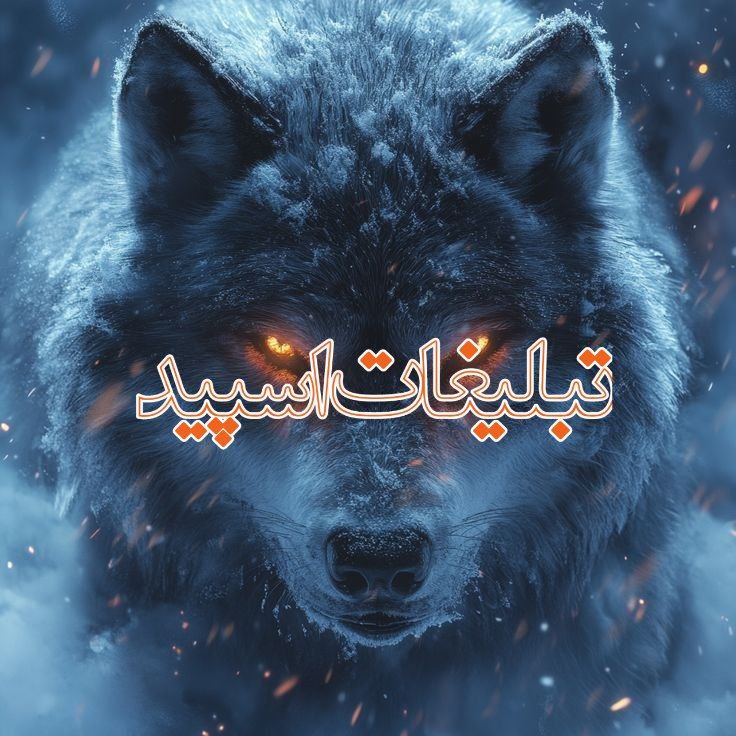 تبلیغات