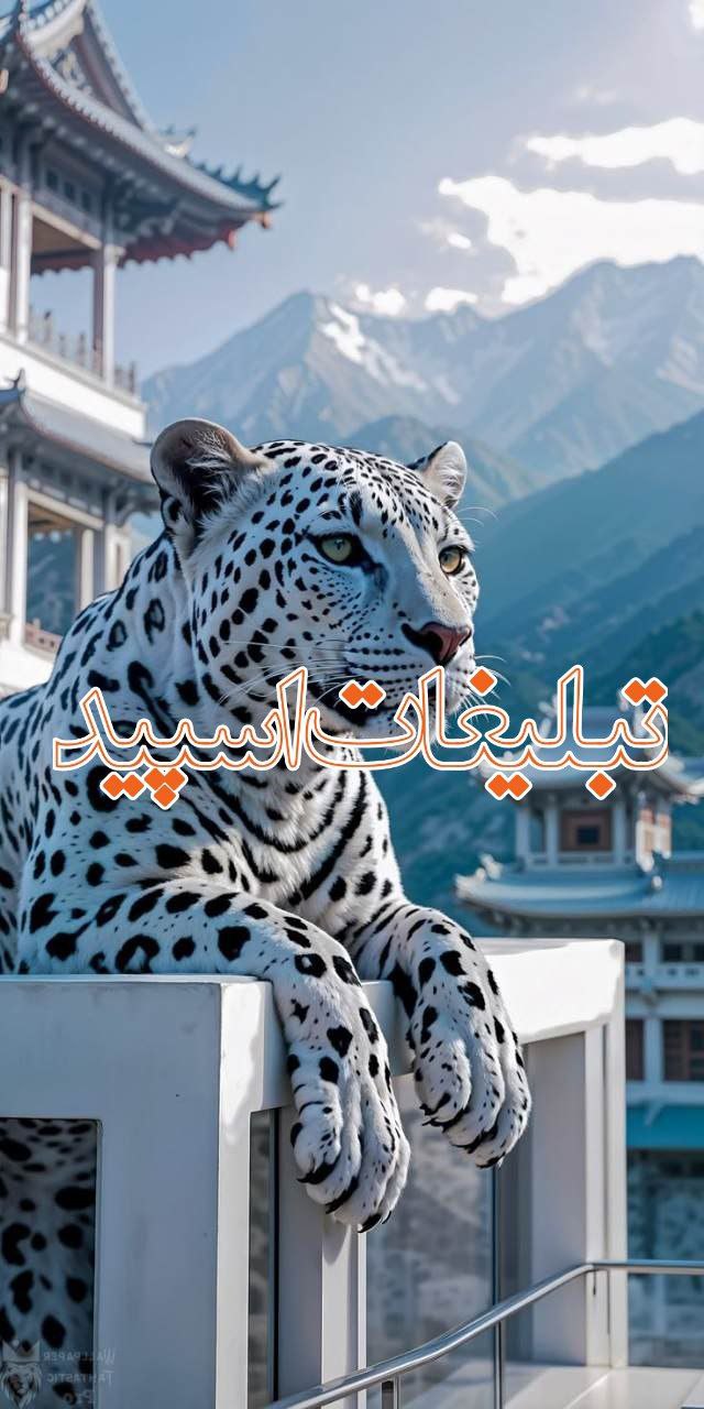 P❤a❤r❤a❤d❤o❤x❤