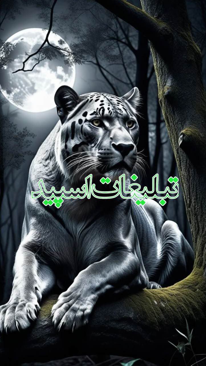 دورهمی خوبان 💙