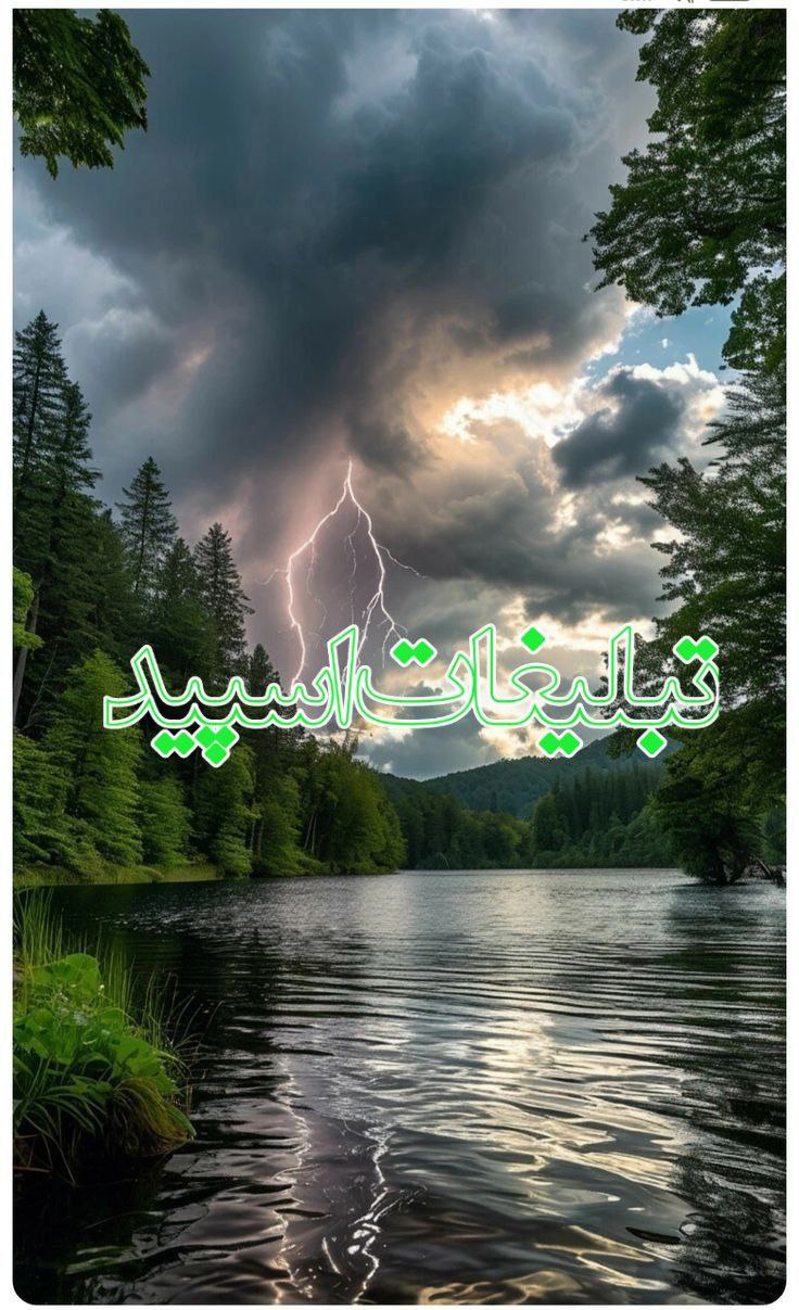 ولف لند (18)