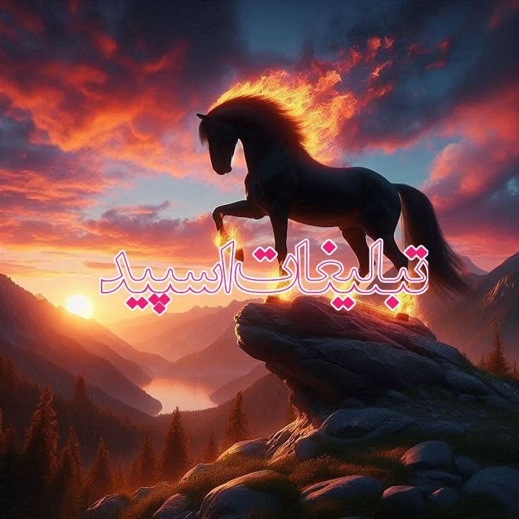 🕊♛ 𝕯𝑬𝐋 𝐂ⅈ𝑻Ꭹ ☬ (11)