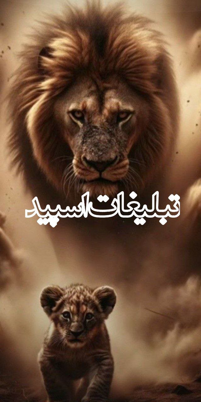 ✨✨✨رؓڡ࣪ࣾݺ࣮ٯ࣫ࣥ ه࣬اٰݺ࣮ نۨاٰب࣪ٙ مۘجۚاٰزؗݺ࣮✨✨✨