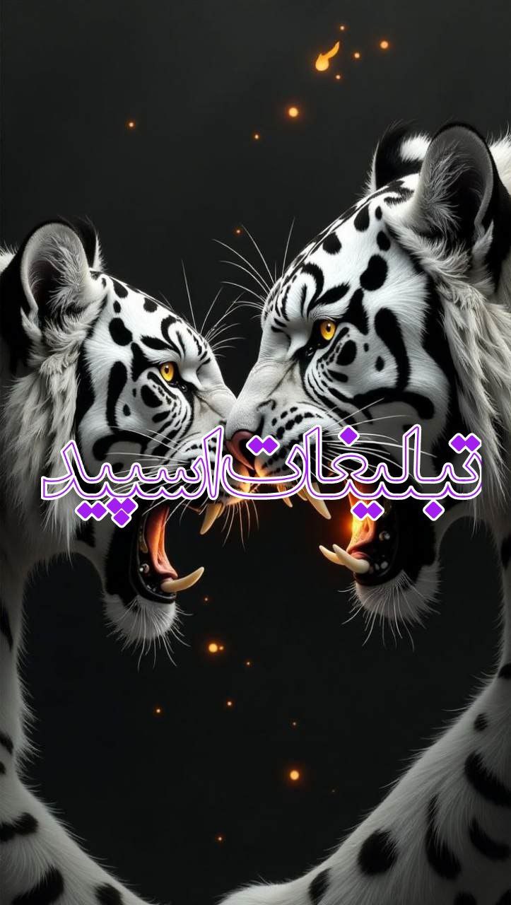 ››▽͟͞𖠇▴⸼𓎂𝐆𝐀𝐏 𝐃𝐎𝐑𝐄𝐇𝐀𝐌𝐈 ▹🔥⸼₍𝐽𝑎𝑁₎ ͛▴⸼ (9)