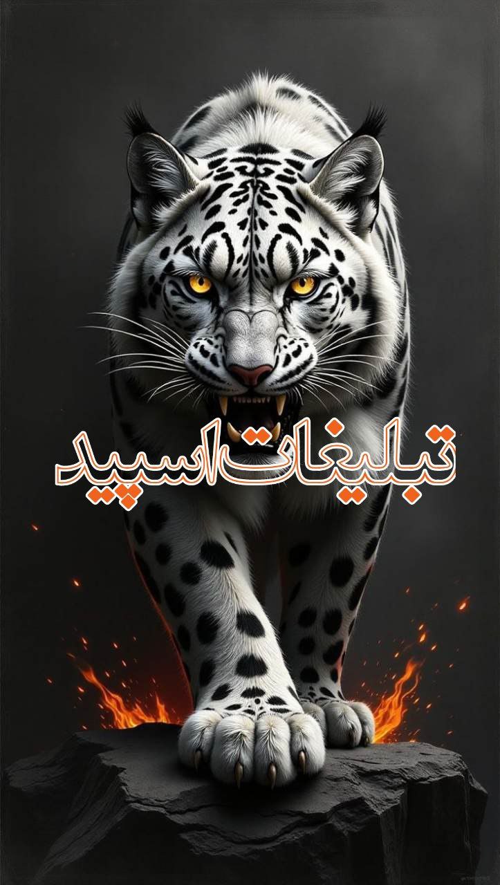 دورهمی لاکچری 🌹 (2)