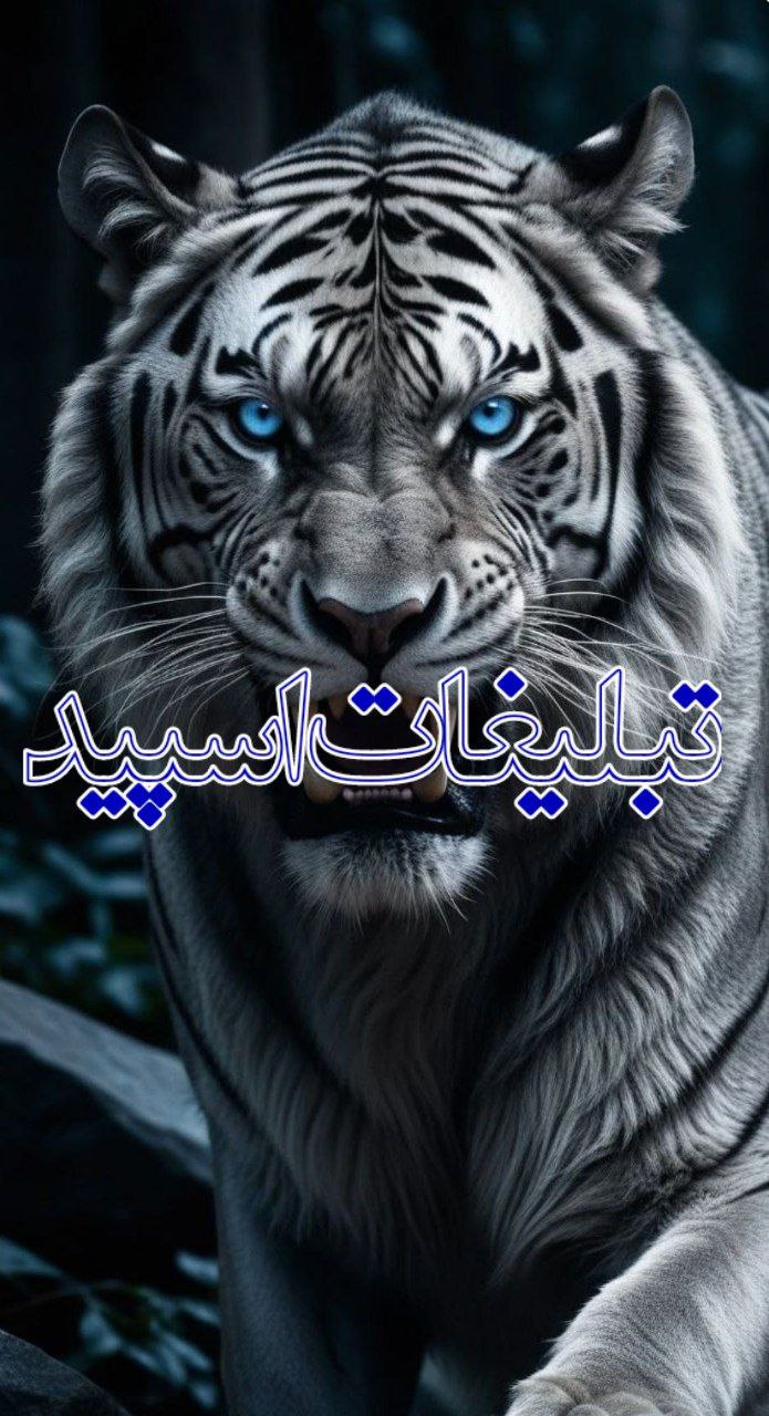 🦅❤️ ܟ۬ߺ‍ߊ‌‌𐭋ߺ‍ܝ‌ߊ‌‌ࡅߺ߳ࡉ‌ ܟ۬ߺ‍ࡅ࡙ߺ‍ࡑ‌‌ ❤️🦅 (2)