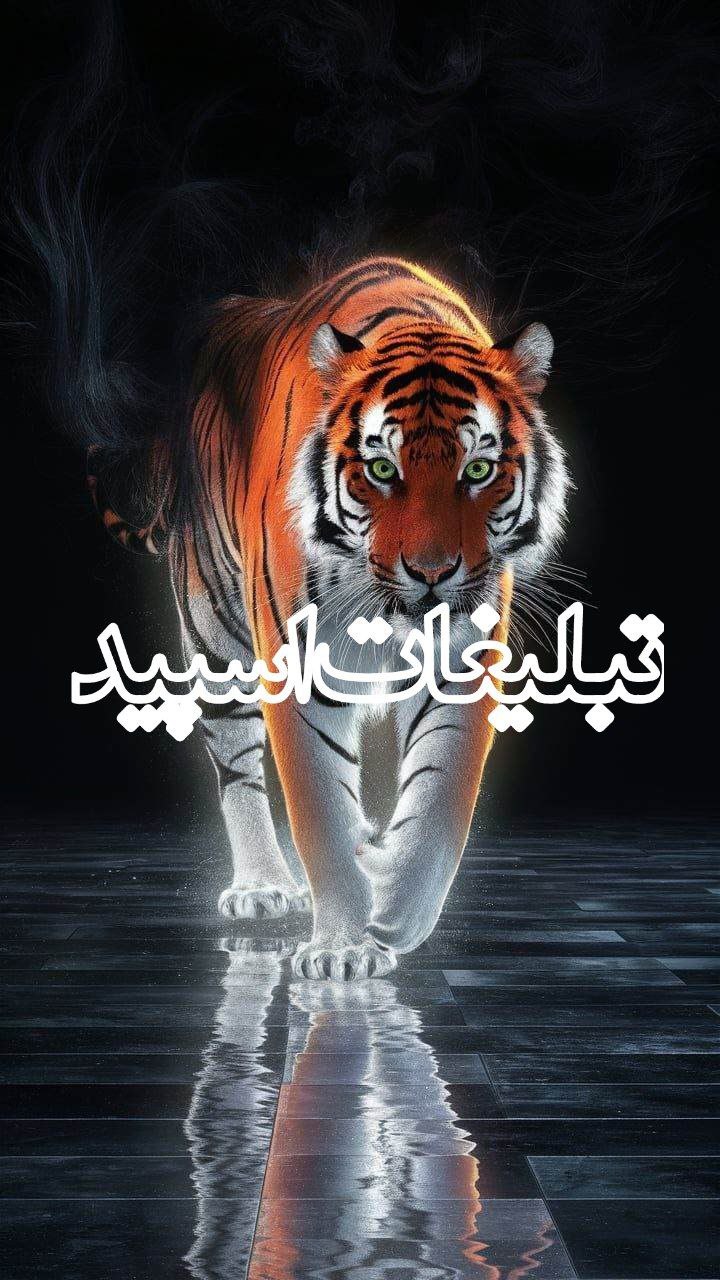 نگاه رویایی