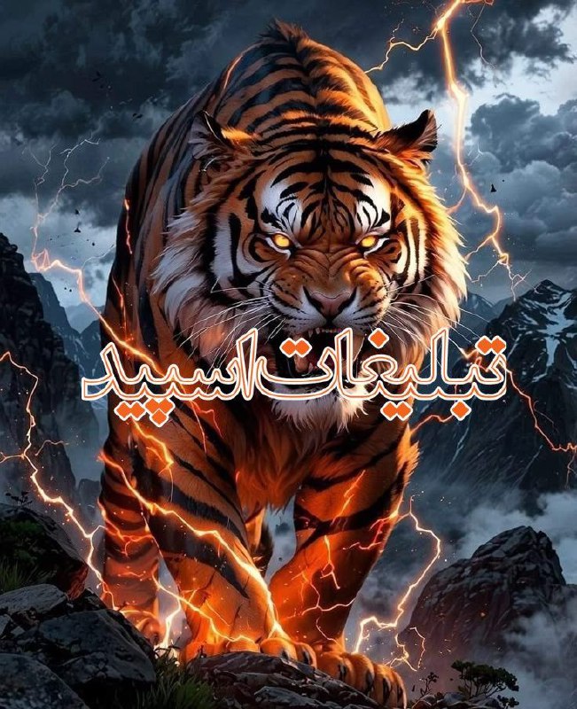 وایلد ولف (82)