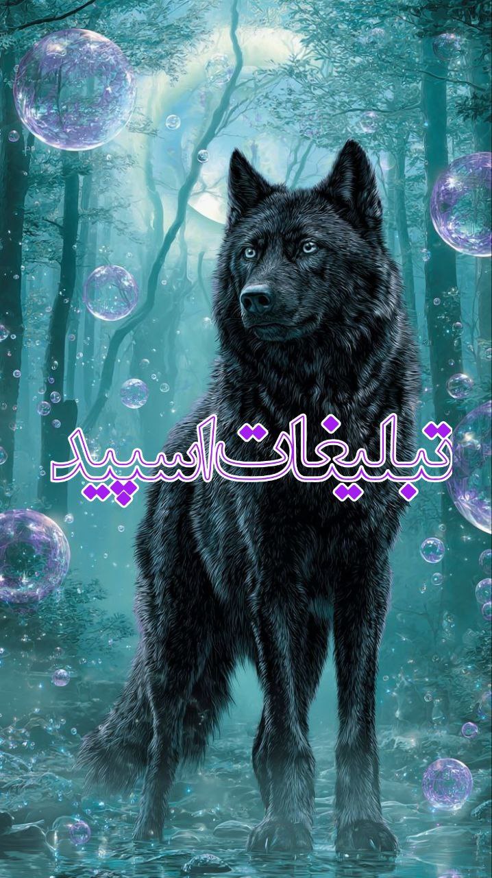 🖤TEHRAN🌟 CITY 🖤