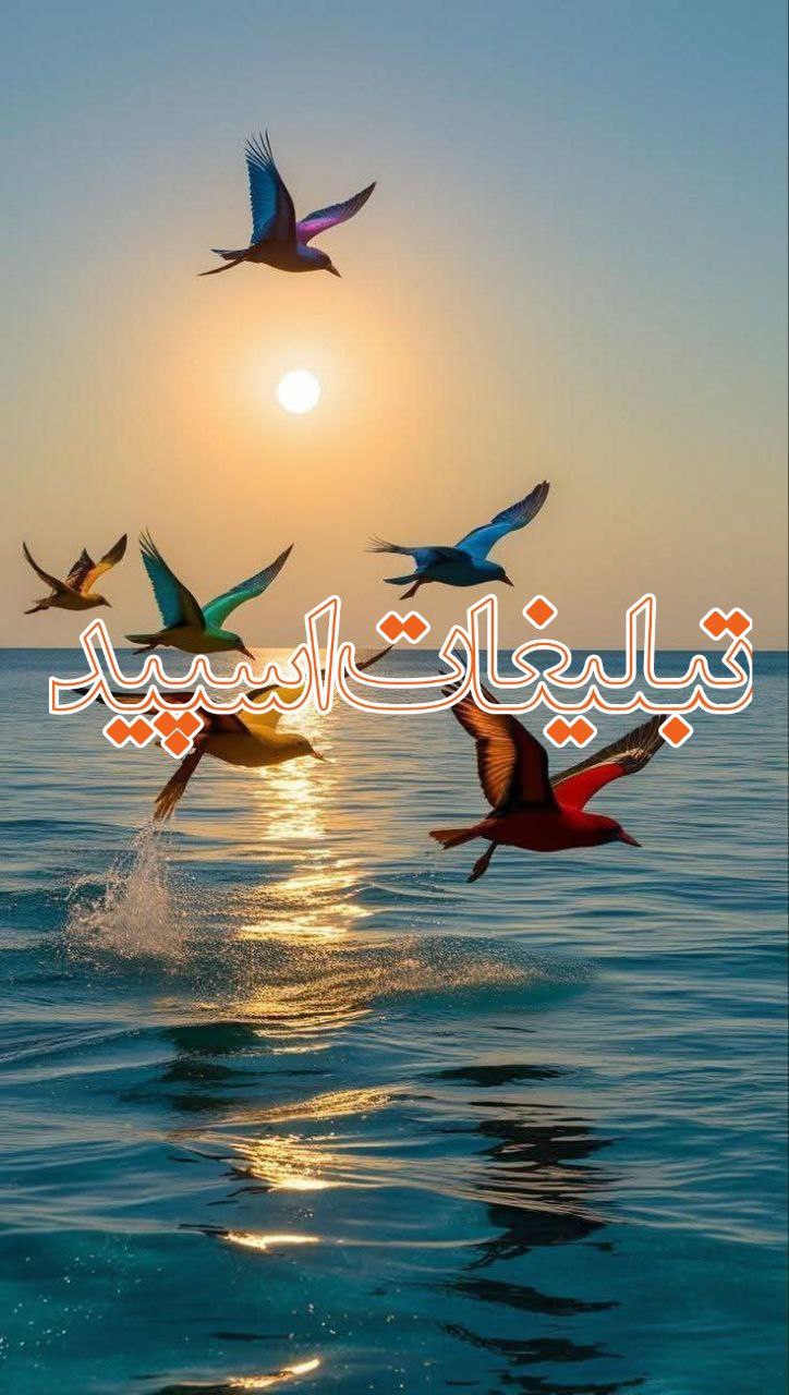 تبلیغات