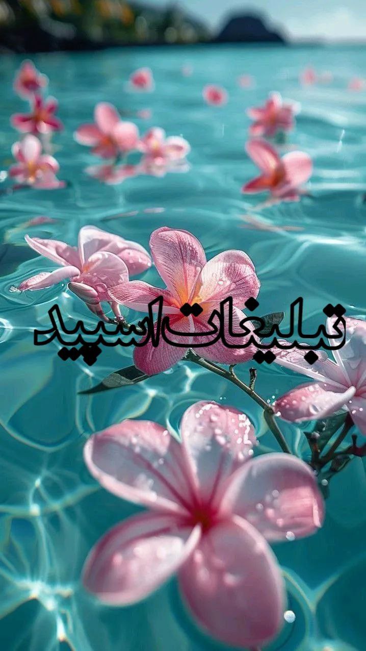 🦋فصل رفاقت🦋 (3)