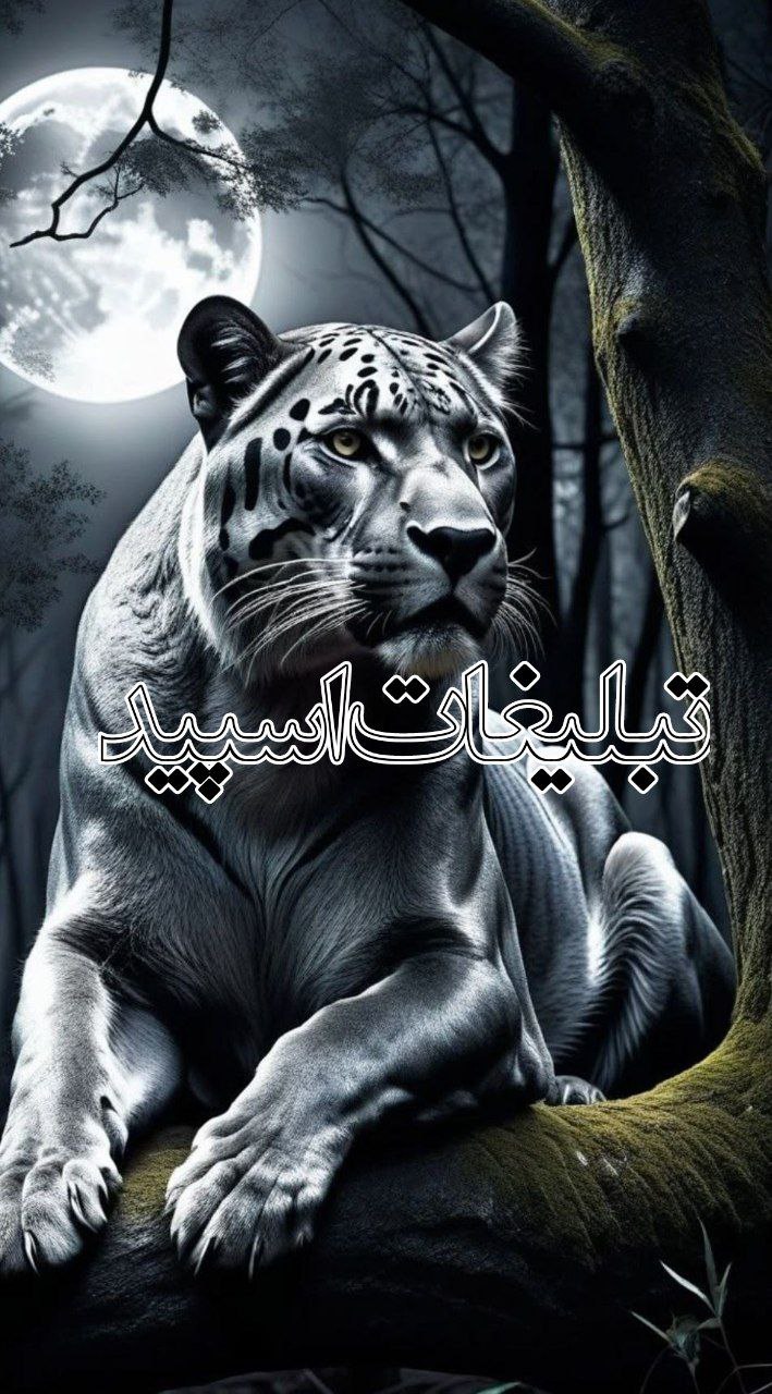 ⎯꯭᪵̽𝆺꯭𝅥𝐖𝐈𝐋𝐃𓆩᪵🜲꯭𓆪̥𝐖𝐎𝐋𝐅⎯꯭꥓᪵ͯ⟶ (40)