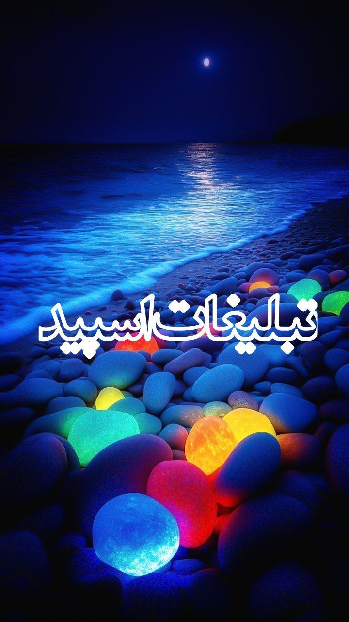 وایلد ولف (288)