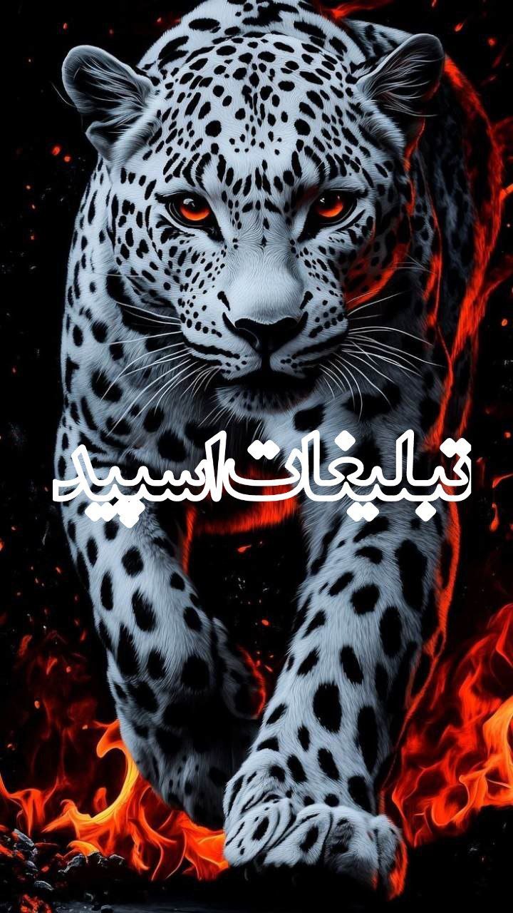 💝💝پاتوق باجنبه ها 💝💝