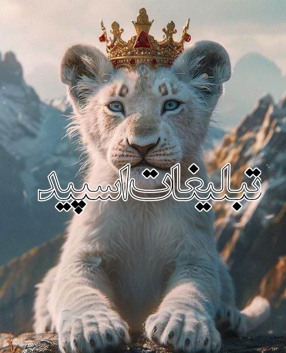تبلیغات