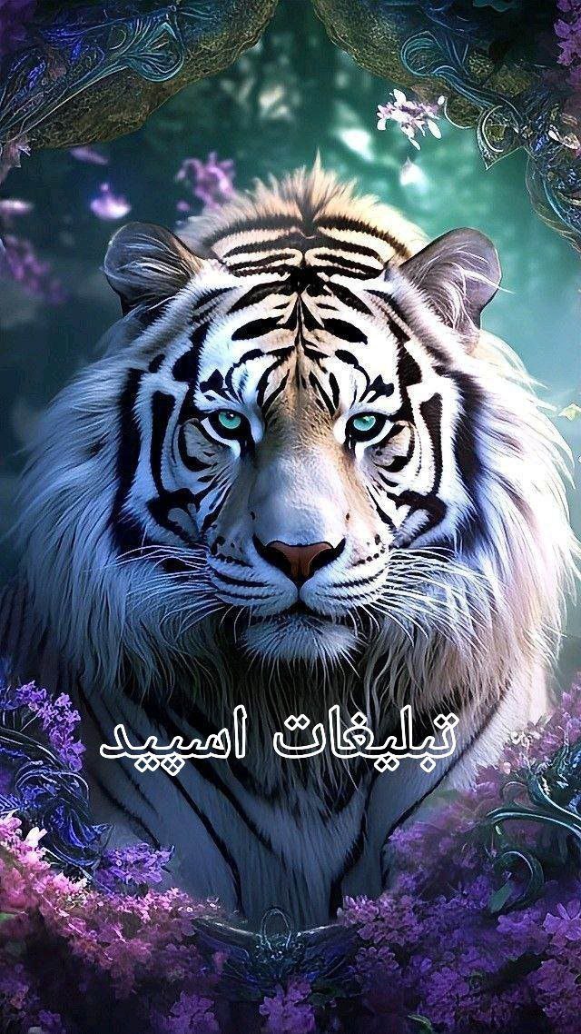 ꧁༒☬Ŧгί𝔢ᑎᵈ𝓼нυ𝔟☬༒꧂