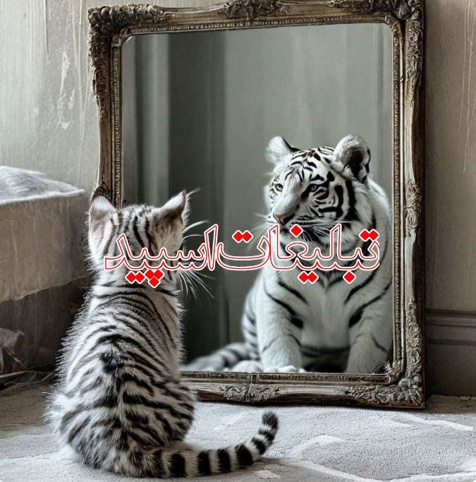 دوستای با معرفت