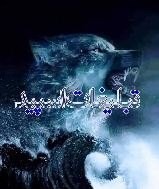 💕کلبه برترینها💕